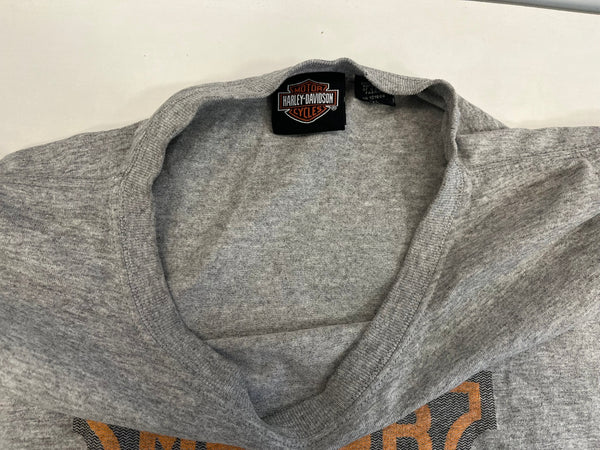 ハーレーダビッドソン HARLEY DAVIDSON 00's ©2004 シールドロゴ プリント モーターサイクル 袖プリント XL ロンT グレー LLサイズ 101MT-4110