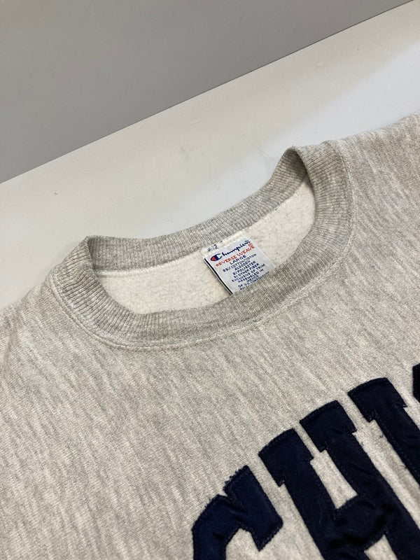 チャンピオン Champion 90s 刺繍タグ ヴィンテージ Vintage リバースウィーブ REVERSE WEAVE   michigan ワッペン 刺繍 スウェット グレー Lサイズ 101MT-3034