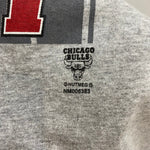 ナツメグ NUTMEG NBA シカゴブルズ Chicago Bulls デニスロッドマン DENNIS RODMAN Tシャツ グレー Lサイズ 201MT-4613