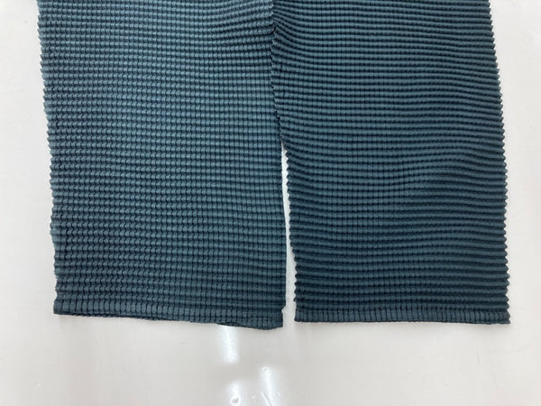 イッセイミヤケ ISSEY MIYAKE ミー me グラデーション シアー トップス ボックスプリーツ BOX PLEATS ポリエステル フィリピン製 グリーン系 MULTI COLOR MI01FJ241 長袖カットソー マルチカラー 104LT-237