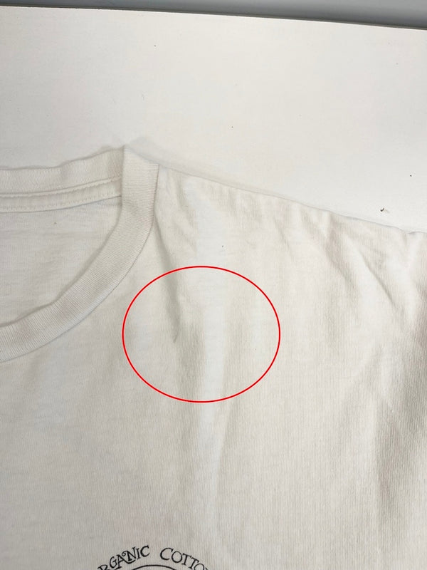パタゴニア PATAGONIA 90s Vintage USA製 ヴィンテージ オーガニックコットン プリントTシャツ  XL Tシャツ ホワイト LLサイズ 101MT-4709