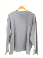 パタゴニア PATAGONIA 2006年製 Rhythm リズム プラッシュ シンチラ スウェット シャツ フリース 20845S6 スウェット ブルー LLサイズ 103MT-2639