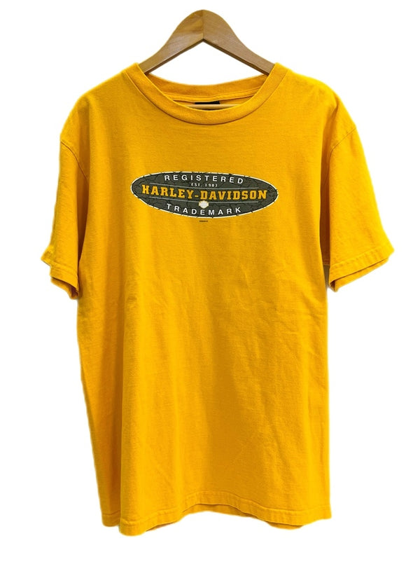 ハーレーダビットソン Harley-Davidson 00s 00's ©2004 バイク バイカー モーターサイクル バックプリント アメリカ製 MADE IN USA US古着 黄色 Tシャツ イエロー Lサイズ 101MT-4527