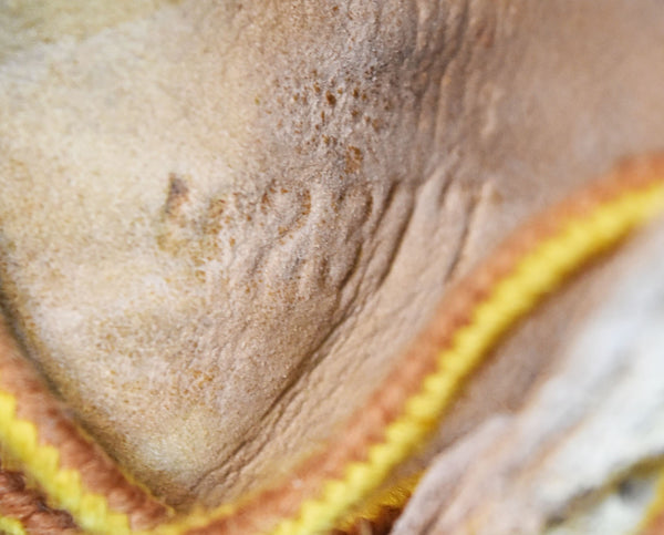 レッドウィング RED WING タグ スエード アイリッシュセッター  メンズ靴 ブーツ ワーク ブラウン 6 1/2 103S-1148