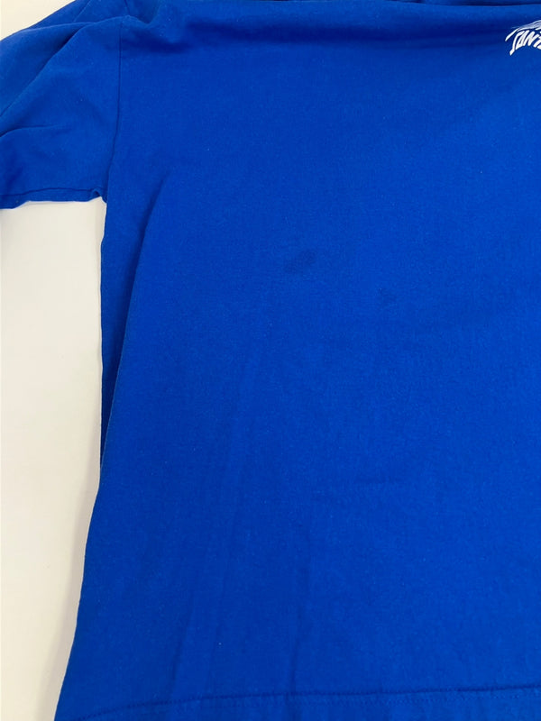 サンタクルーズ SANTA CRUZ 00's NHSボディ スクリーミングハンド ロゴ 袖プリント ロンT  VINTAGE ヴィンテージ ロンT ブルー Lサイズ 101MT-4463