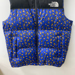 ノースフェイス THE NORTH FACE NUPTSE DOWN VEST ヌプシ ダウン ベスト ベスト ブルー Lサイズ 201MT-4840