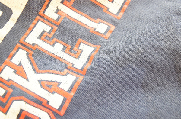 チャンピオン Champion Reverse Weave 90s 90年代 NASSAU カレッジロゴ スウェット スウェット ネイビー 3Lサイズ 103MT-3023