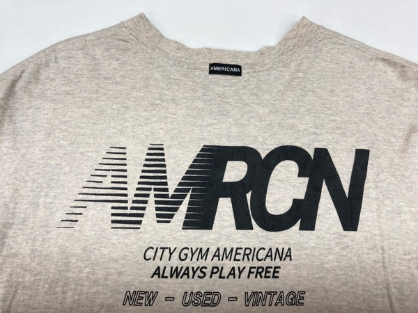 アメリカーナ AMERICANA ラフィー 丸胴 プリントT 半袖 カットソー クルーネック グラフィック レタリング バックロゴ 日本製 GRAY 灰色 Tシャツ ロゴ グレー 104LT-218