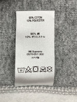 シュプリーム SUPREME 19AW BANDANA BOX LOGO HOODED バンダナ ボックスロゴ パーカー GRAY 炭 XL パーカ 刺繍 グレー 104MT-768