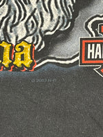 ハーレーダビッドソン Harley-Davidson 00’s  バーアンドシールドロゴ モーターサイクル パイレーツ 海賊 フレイム ファイヤーパターン 袖プリント 両面プリント VINTAGE ヴィンテージ ポケット ロングスリーブ ロンT ブラック Lサイズ 101MT-4572