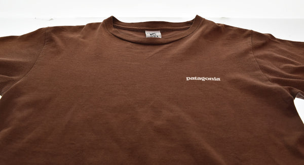 パタゴニア PATAGONIA 90's 00'S Beneficial T's 波 浮世絵 ベネフィシャル OLD オールド ブラウン Sサイズ 103MT-3524