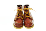 レッドウイング RED WING 犬タグ IRISH SETTER アイリッシュセッター ブーツ 赤茶 8875 メンズ靴 ブーツ ワーク レッド 6 103-shoes-282