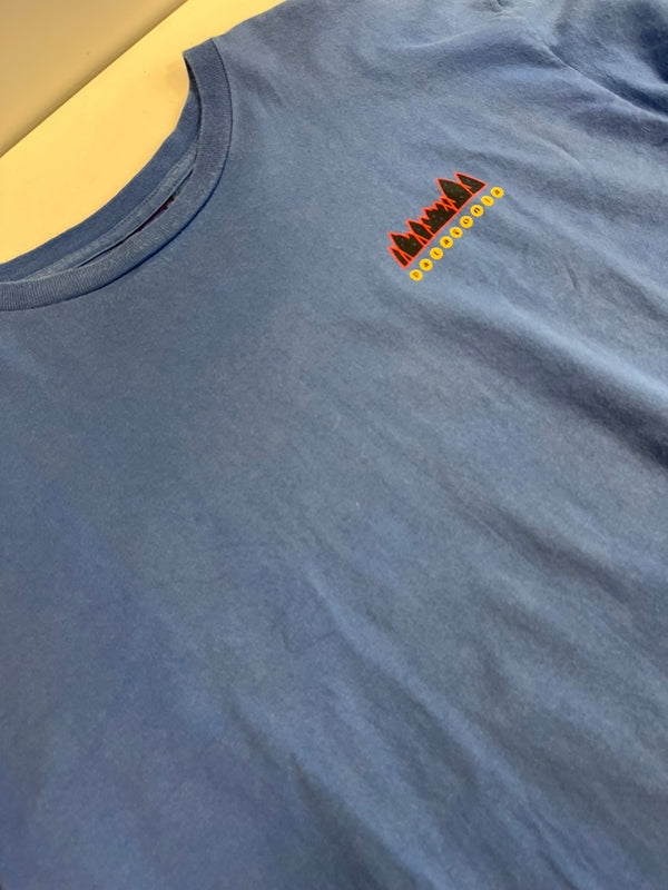 パタゴニア PATAGONIA 90s 90年代 雪なしタグ 生態系プリント USA製 アメリカ製 青 vintage ヴィンテージ XL Tシャツ ブルー LLサイズ 101MT-4716