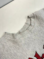 チャンピオン Champion 90s～ ヴィンテージ Vintage 刺繍タグ リバースウィーブ REVERSE WEAVE US古着 ohio オハイオ 2段プリント スウェット グレー Mサイズ 101MT-4153
