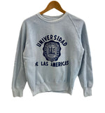 ヴィンテージ vintage 70s～ 70年代～ ラグラン カレッジ ラバープリント 3段 - スウェット ブルー 101MT-4166