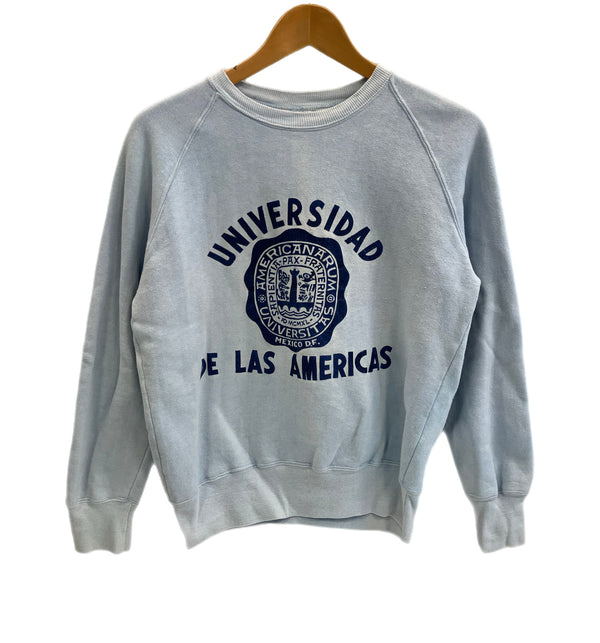 ヴィンテージ vintage 70s～ 70年代～ ラグラン カレッジ ラバープリント 3段 - スウェット ブルー 101MT-4166