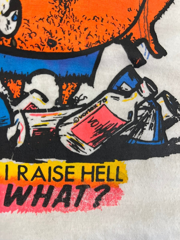 ヴィンテージ vintage US古着 アメカジ キャラT シングルステッチ Tシャツ ホワイト Lサイズ 101MT-4827