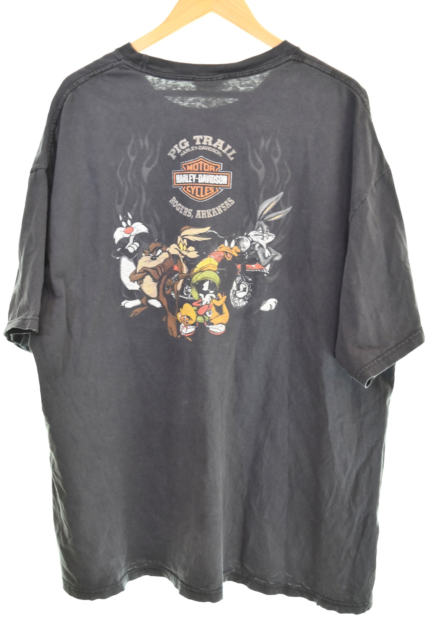 ハーレーダビットソン　ビンテージ　tシャツ グレードランド　ルーニーテューンズ ハーレーダビッドソン Harley-Davidson Looney Tunes Double Sided