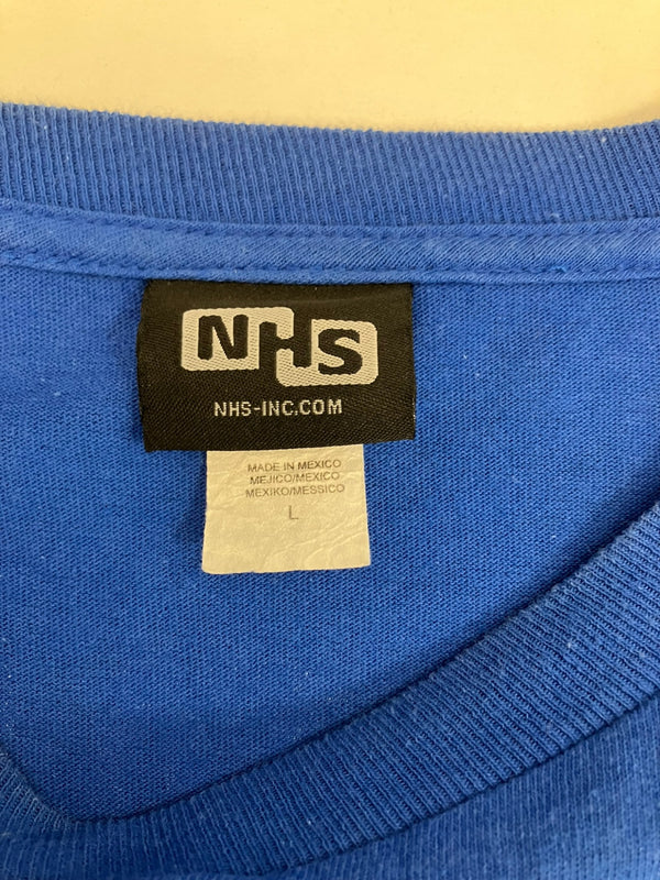 サンタクルーズ SANTA CRUZ 00's NHSボディ スクリーミングハンド ロゴ 袖プリント ロンT  VINTAGE ヴィンテージ ロンT ブルー Lサイズ 101MT-4463