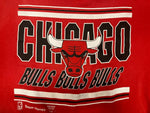 ヴィンテージ vintage シカゴ・ブルズ CHICAGO BULLS チームスェット ロゴプリント 赤 US古着 XL スウェット レッド LLサイズ 101MT-3180