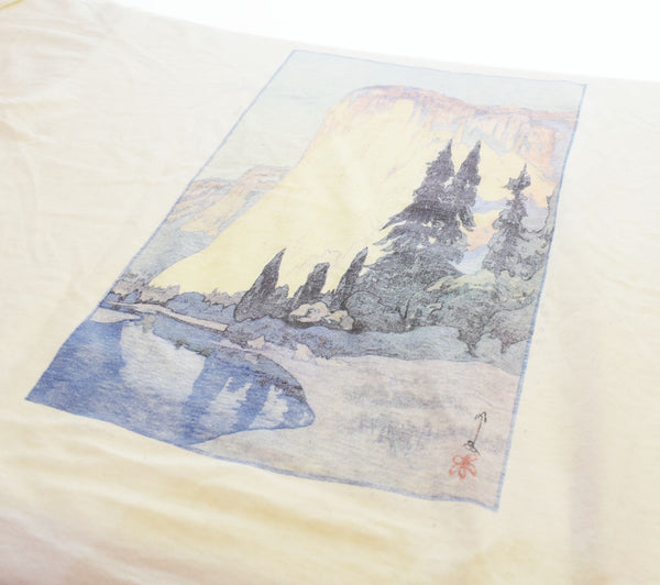 パタゴニア PATAGONIA 90s 90's USA製 Yosemite ヨセミテ 吉田博 前期 初期タグ ボックスシルエット オーガニックコットン XL Tシャツ ホワイト 103MT-2758