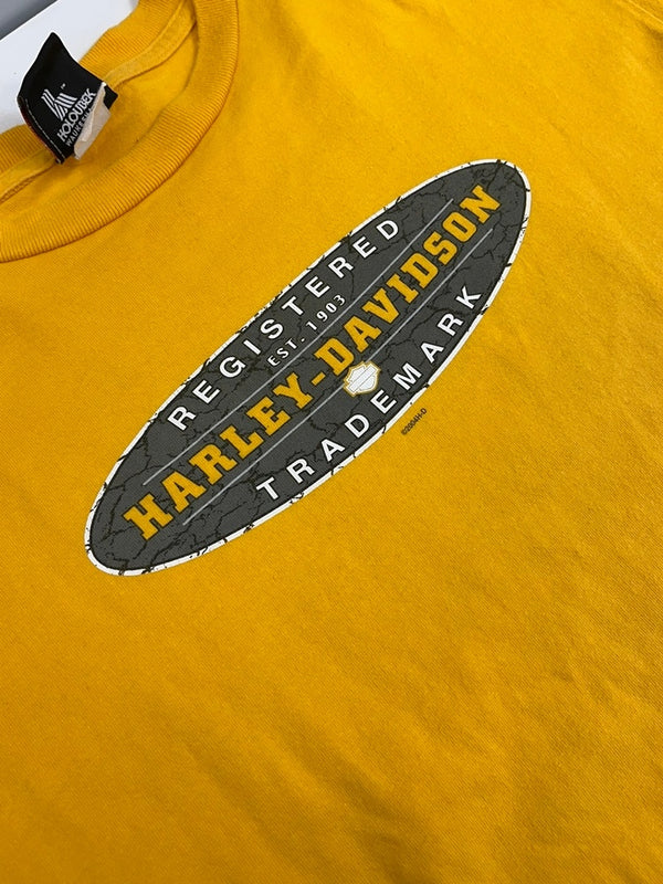 ハーレーダビットソン Harley-Davidson 00s 00's ©2004 バイク バイカー モーターサイクル バックプリント アメリカ製 MADE IN USA US古着 黄色 Tシャツ イエロー Lサイズ 101MT-4527