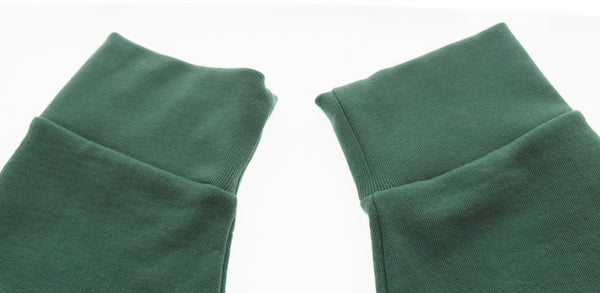 パタゴニア PATAGONIA DAILY CREWNECK SWEATSHIRT デイリー クルーネック スウェットシャツ 22765SP24 スウェット グリーン LLサイズ 103MT-3383