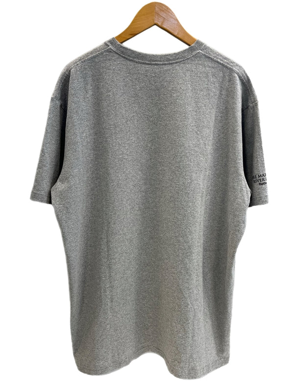 パタゴニア PATAGONIA 生態系 生き物シリーズ アニマル ぶたプリント 豚プリント  XL Tシャツ グレー LLサイズ 101MT-4696