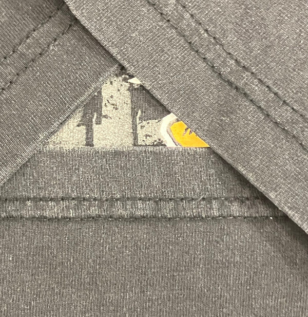 サンタクルーズ SANTA CRUZ 90's 90年代 オールドスケート OLD SKATE MADE IN USA アメリカ製 VINTAGE ヴィンテージ  Tシャツ ブラック Mサイズ 101MT-4285