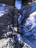 シュプリーム SUPREME ノースフェイス THE NORTH FACE Mountain Baltoro Jacket マウンテンバルトロジャケット ダウンジャケット 総柄  ND91701I ジャケット ブラック Sサイズ 101MT-4770