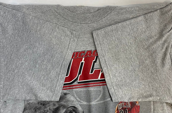 ナツメグ NUTMEG NBA シカゴブルズ Chicago Bulls デニスロッドマン DENNIS RODMAN Tシャツ グレー Lサイズ 201MT-4613