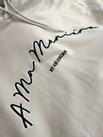 ジョーダン JORDAN × AMM アママニエール ロゴ刺繍 フーディ パーカー ライトオールウッドブラウン FQ8956-104 XL パーカ ベージュ LLサイズ 101MT-4141