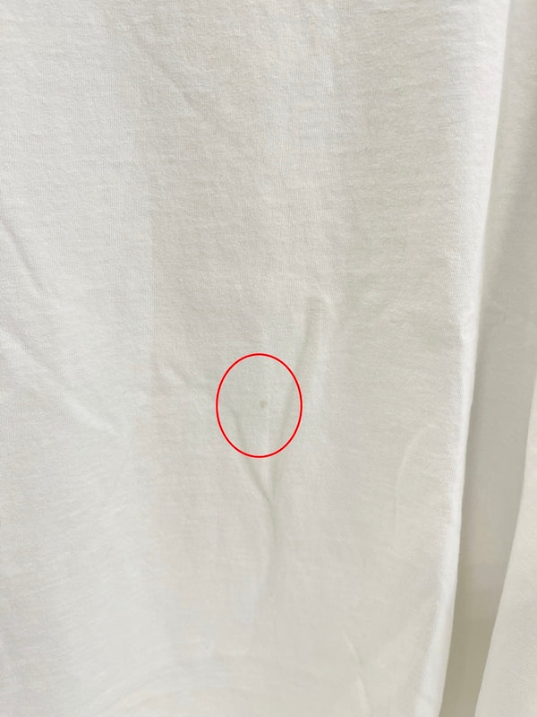 パタゴニア PATAGONIA 90s Vintage USA製 ヴィンテージ オーガニックコットン プリントTシャツ  XL Tシャツ ホワイト LLサイズ 101MT-4709