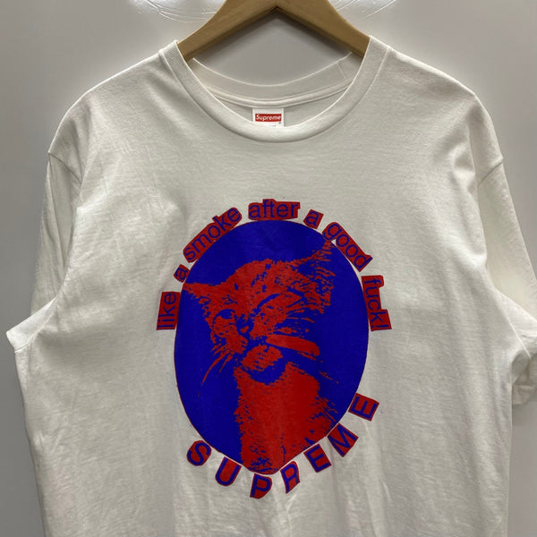 シュプリーム SUPREME 23SS Smoke Tee Tシャツ ホワイト Mサイズ 201MT-4802