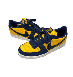 ナイキ NIKE Terminator Low University Gold and Navy/Michigan ターミネーター ロー ミシガン FJ4206-700 メンズ靴 スニーカー イエロー 26.5cm 101-shoes1656