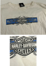 ハーレーダビッドソン Harley-Davidson 00’s BLUE RIDGE バーアンドシールドロゴ トライバル柄 袖プリント 両面プリント VINTAGE ヴィンテージ XL ロンT ホワイト LLサイズ 101MT-4567