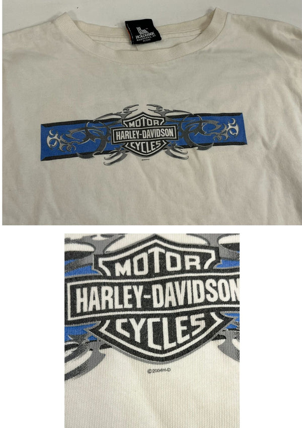ハーレーダビッドソン Harley-Davidson 00’s BLUE RIDGE バーアンドシールドロゴ トライバル柄 袖プリント 両面プリント VINTAGE ヴィンテージ XL ロンT ホワイト LLサイズ 101MT-4567