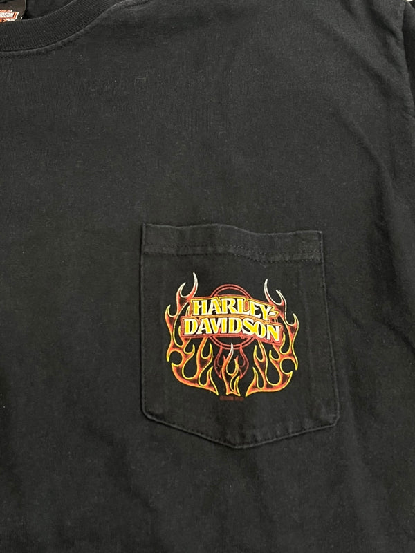 ハーレーダビッドソン Harley-Davidson 00’s  バーアンドシールドロゴ モーターサイクル パイレーツ 海賊 フレイム ファイヤーパターン 袖プリント 両面プリント VINTAGE ヴィンテージ ポケット ロングスリーブ ロンT ブラック Lサイズ 101MT-4572