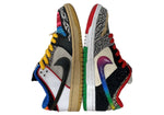 ナイキ NIKE 21年製 SB DUNK LOW WHAT THE P-ROD ダンク ロー ホワット ザ P-ロッド PAUL RODRIGUEZ ポール・ロドリゲス CZ2239-600 レディース靴 スニーカー マルチカラー 24cm 104S-788