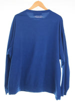 パタゴニア PATAGONIA 00's micro D-luxe crew USA製  マイクロ Dラックス プルオーバー フリース シンチラ スウェット ブルー LLサイズ 103MT-3407