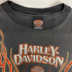 【曜日割引対象外】 ハーレーダビッドソン HARLEY-DAVIDSON 90's V FLAME USA製 フレイムパターン ロンT ブラック Mサイズ 201MT-4597 VB