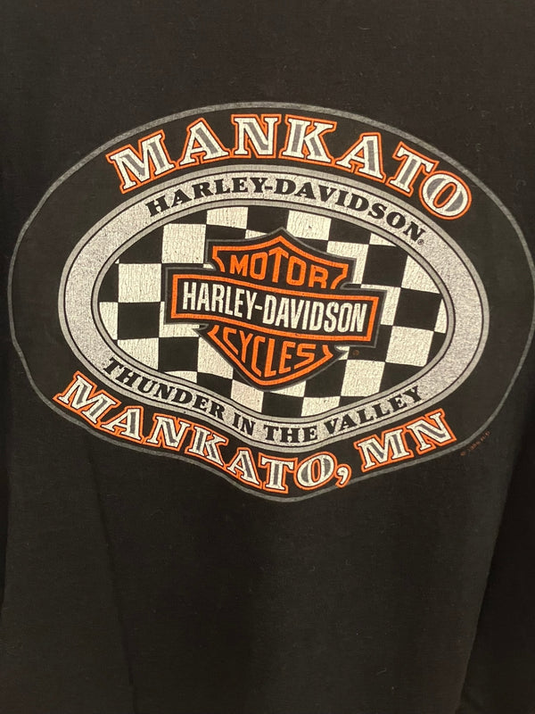 ハーレーダビットソン Harley Davidson 90s 90's THUNDER IN THE VALLEY ©1999 Tシャツ プリント ブラック Lサイズ 101MT-2629