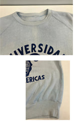 ヴィンテージ vintage 70s～ 70年代～ ラグラン カレッジ ラバープリント 3段 - スウェット ブルー 101MT-4166