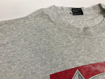ヴィンテージ vintage 90's 90年代 FRUIT OF THE LOOM BESTタグ BUDWEISER バドワイザー パロディ  アメリカ製 MADE IN USA XL Tシャツ グレー LLサイズ 101MT-4107
