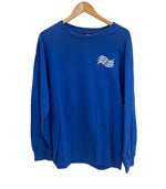 サンタクルーズ SANTA CRUZ 00's NHSボディ スクリーミングハンド ロゴ 袖プリント ロンT  VINTAGE ヴィンテージ ロンT ブルー Lサイズ 101MT-4463