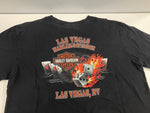 ハーレーダビッドソン Harley-Davidson 00's MORTERCYCLE イーグル モーターサイクル バイク バーアンドシールドロゴ ダイス 両面 プリント Tシャツ ブラック Lサイズ 101MT-4535