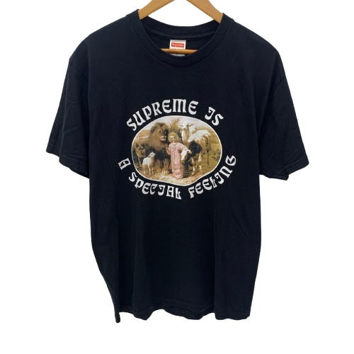 シュプリーム SUPREME Feeling Tee Tシャツ ブラック Lサイズ 201MT-4043
