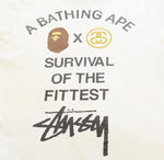 ステューシー STUSSY × ア ベイシング エイプ A BATHING APE SURVIVAL OF THE FITTEST コラボ Tee ストックロゴ SSリンク ロゴ Tシャツ ホワイト Sサイズ 103MT-3101