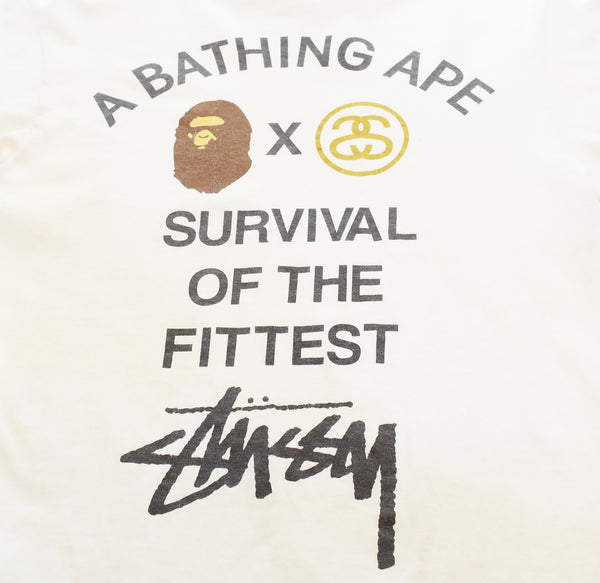 ステューシー STUSSY × ア ベイシング エイプ A BATHING APE SURVIVAL OF THE FITTEST コラボ Tee ストックロゴ SSリンク ロゴ Tシャツ ホワイト Sサイズ 103MT-3101