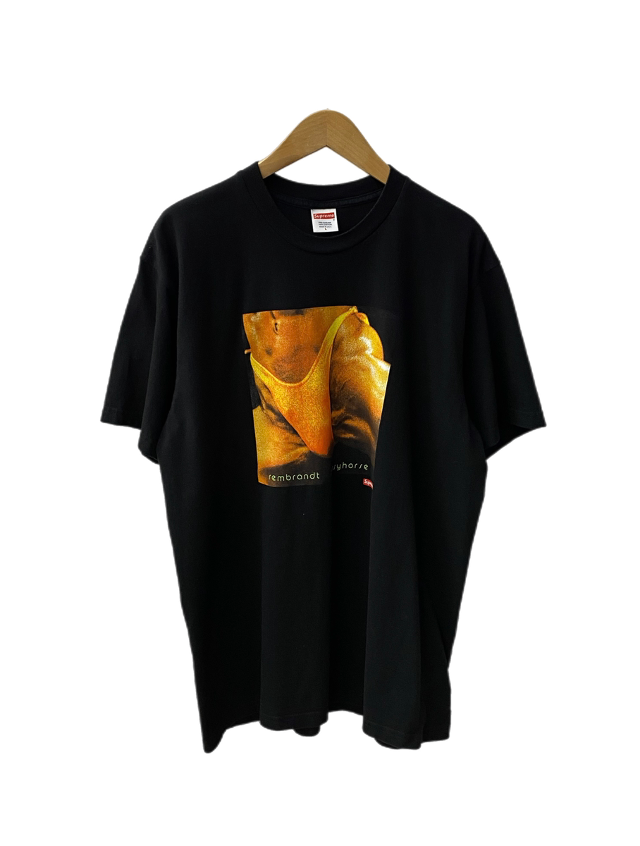 シュプリーム SUPREME バットホール サーファーズ レンブラント プッシーホース Tシャツ 